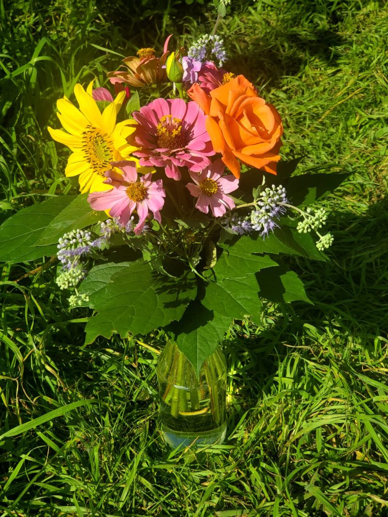 Topf mit frischen Blumen in leuchtenden Farben