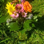 Kräuterstrauß Topf Kräuterstrauß Topf