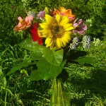 Kräuterstrauß Topf1 Kräuterstrauß Topf1